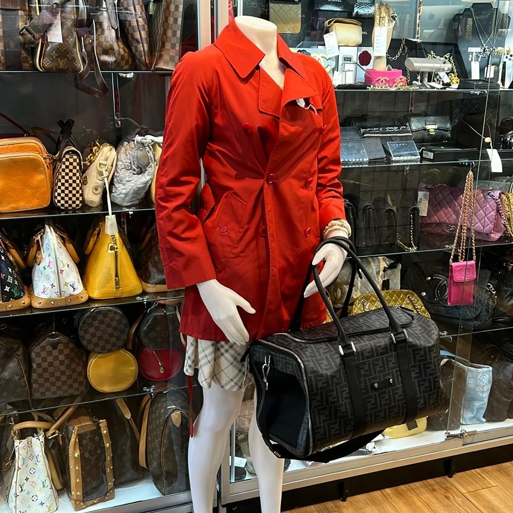 FENDI pet carrier